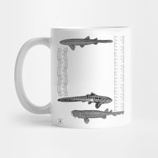 Sharks and Shark Teeth | Ocean Sea Animal Mug